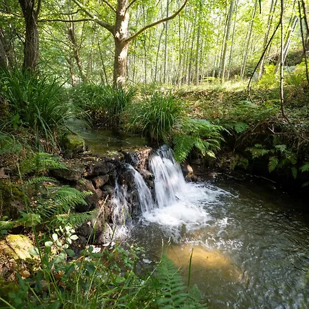 Quinta Ribeiras