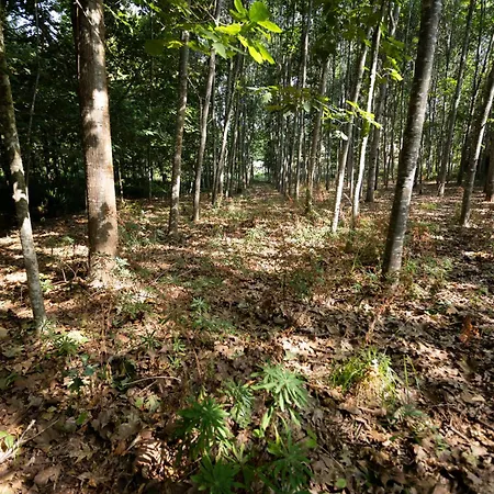 Quinta Ribeiras Lägenhet Canedo de Basto