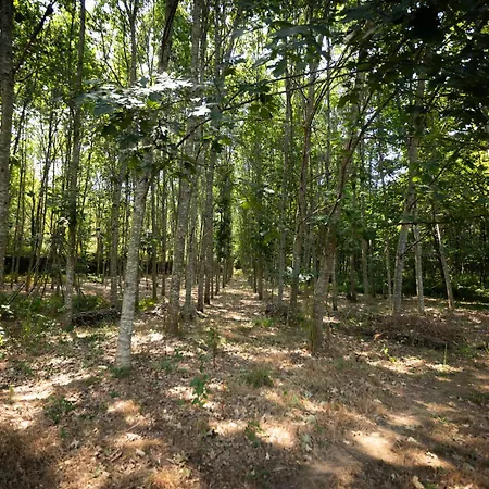 Quinta Ribeiras Canedo de Basto