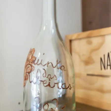 Quinta Ribeiras Lägenhet