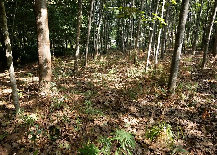 Quinta Ribeiras Διαμέρισμα Canedo de Basto
