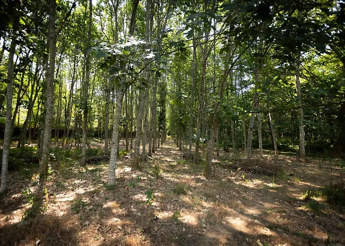 Quinta Ribeiras Canedo de Basto